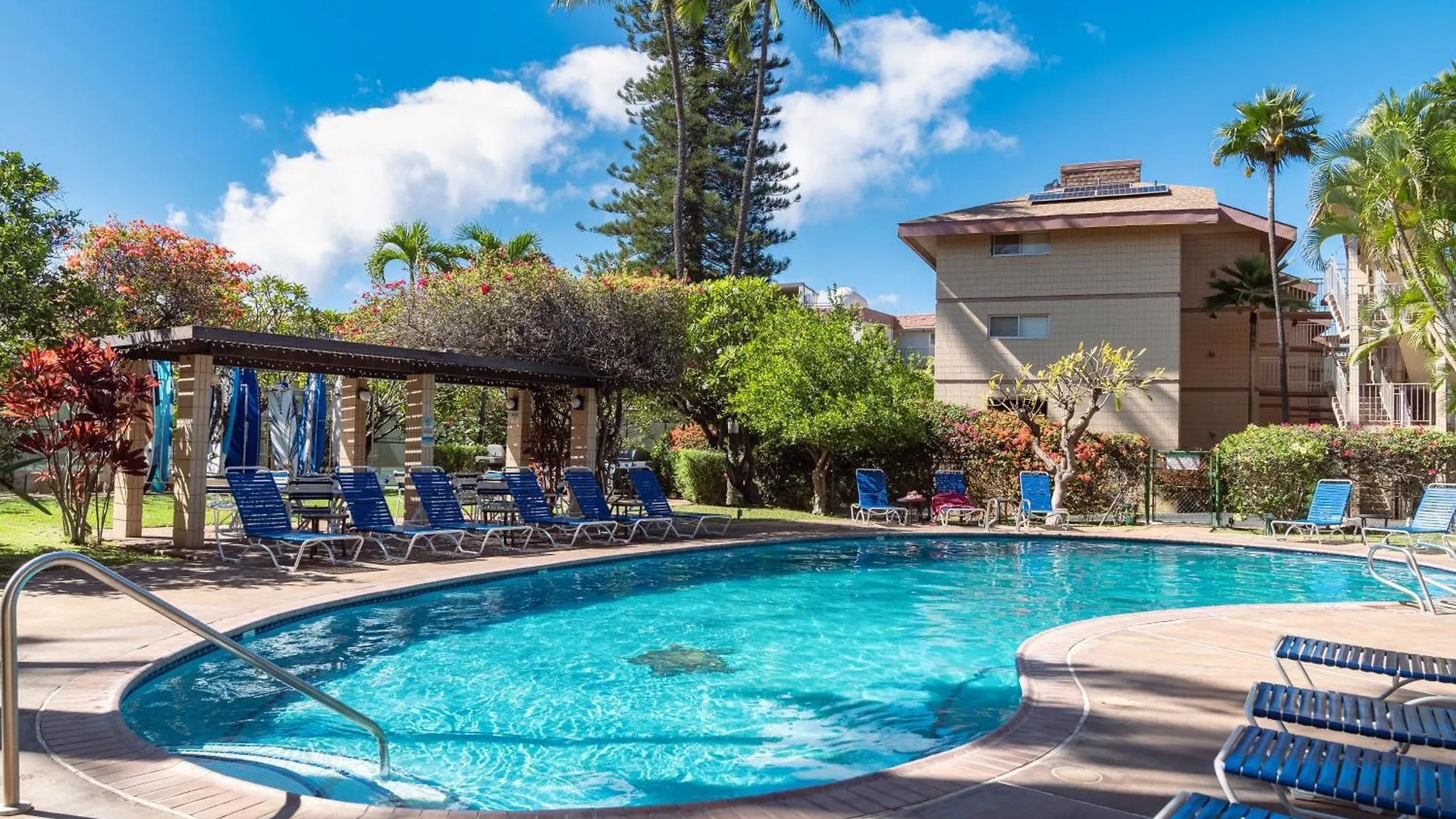 Apartment A-312 Haleakala Shores Wailea  United States